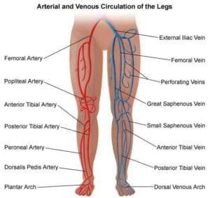 Compression Boots and Your Arteries